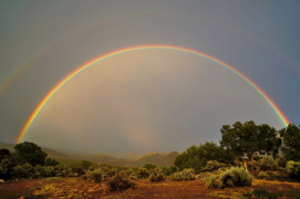 arcobaleno 50 lista